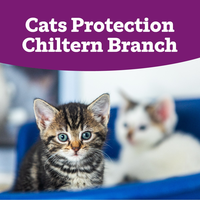 Chiltern Cats Protection