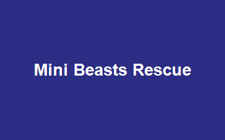 Mini Beasts Rescue